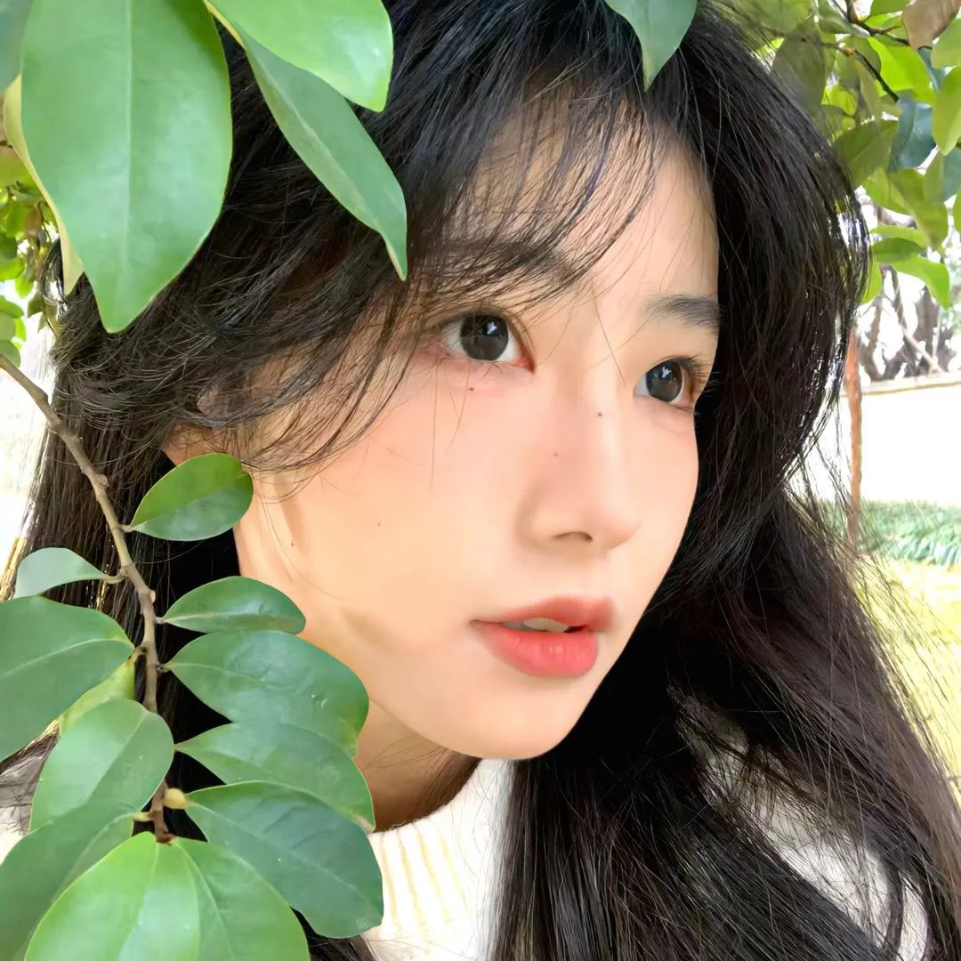 巴哈